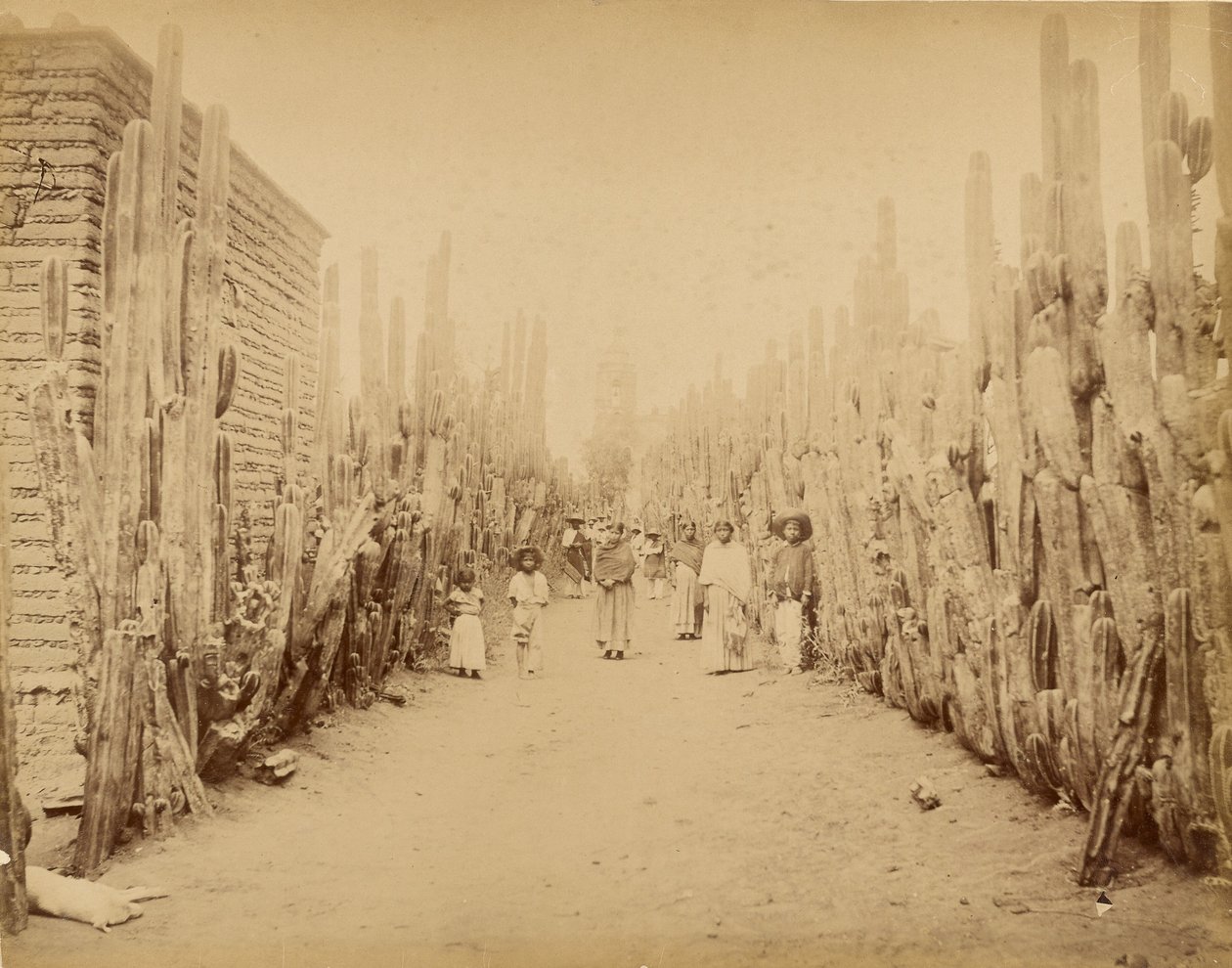 México. Rua da aldeia de San Juan, Estado do México. de Abel Briquet