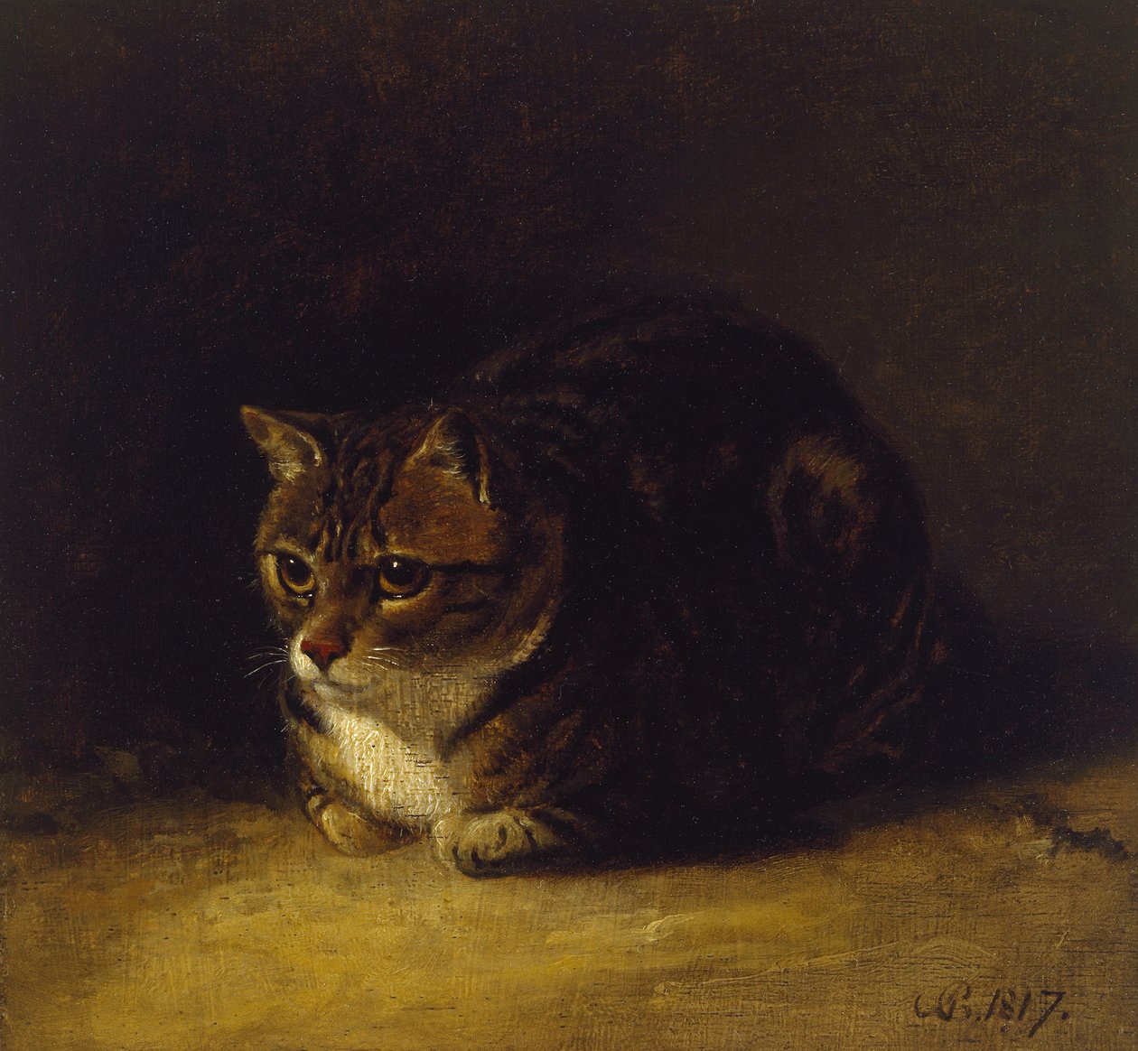 Estudo de um gato, 1817 (óleo no painel, montado como um desenho) de Abraham Cooper