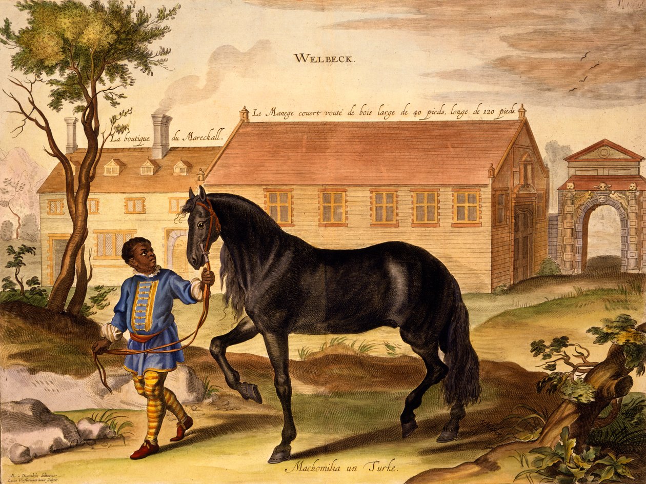Makomilia, um turco, liderado por um menino de cordeiro negro em libré, de "O método e nova invenção dos cavalos de vestir" por William Cavendish, publicado em 1737 (2nd edn) (aquatint) de Abraham van Diepenbeeck