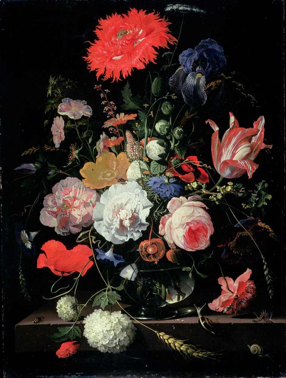 Pedaço de flor de Abraham Mignon