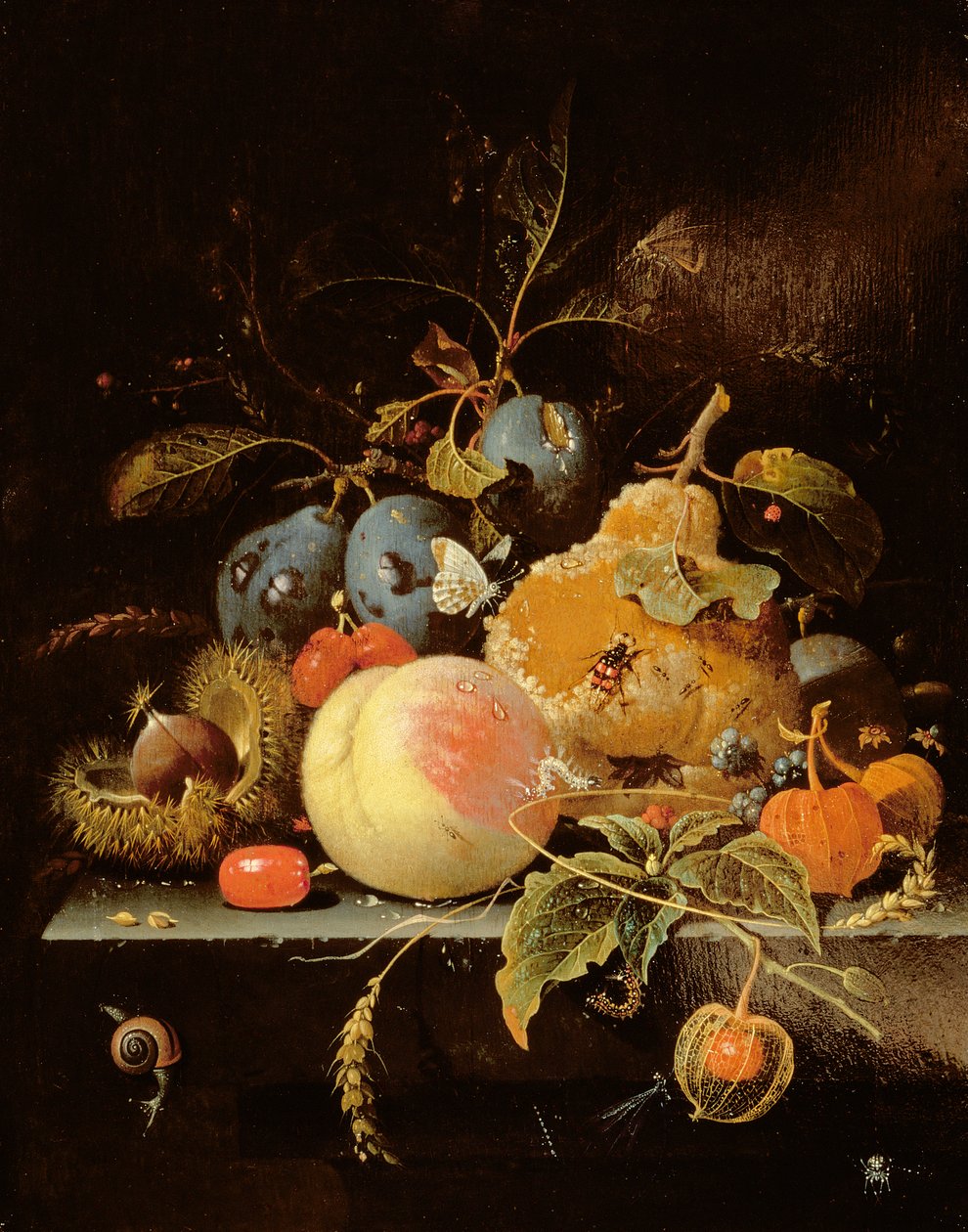 Ainda vida de frutas e nozes em uma borda de pedra de Abraham Mignon