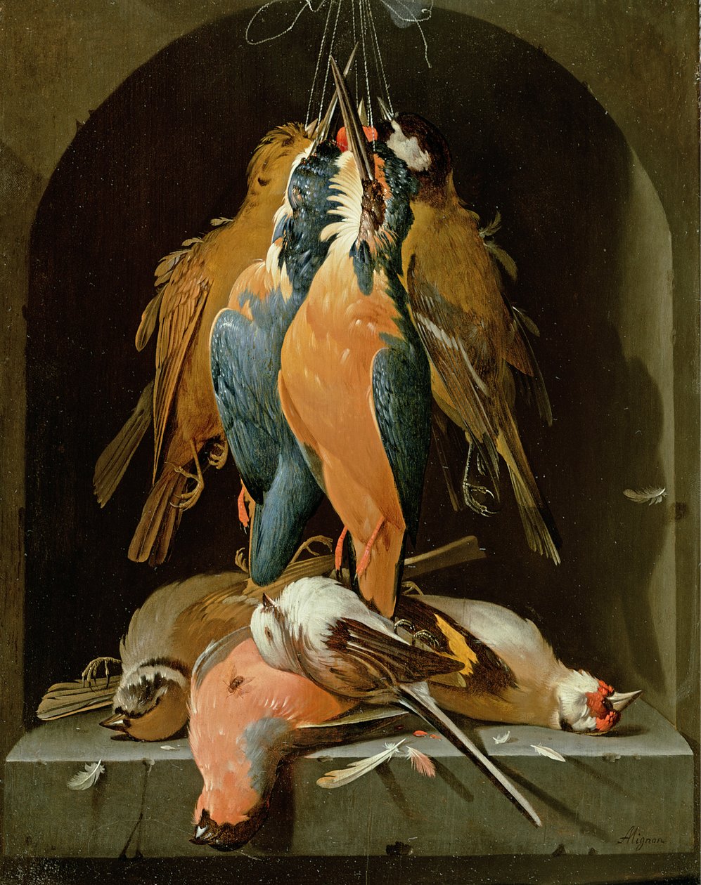 Ainda vida de pássaros de Abraham Mignon