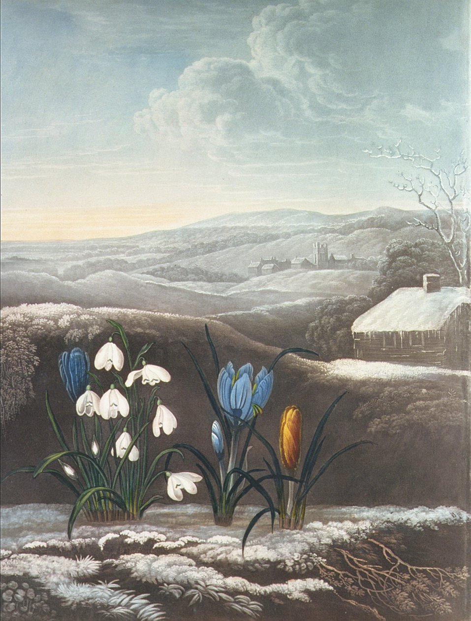 O Snowdrop, gravado por Ward, provavelmente no início do século 19 (aquatint e goma arábica) de Abraham Pether