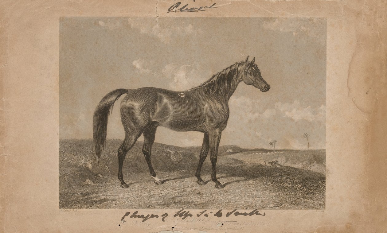 Aliwal, a propriedade de Sir Harry Smith, Bart (litografia) de Abraham (after) Cooper