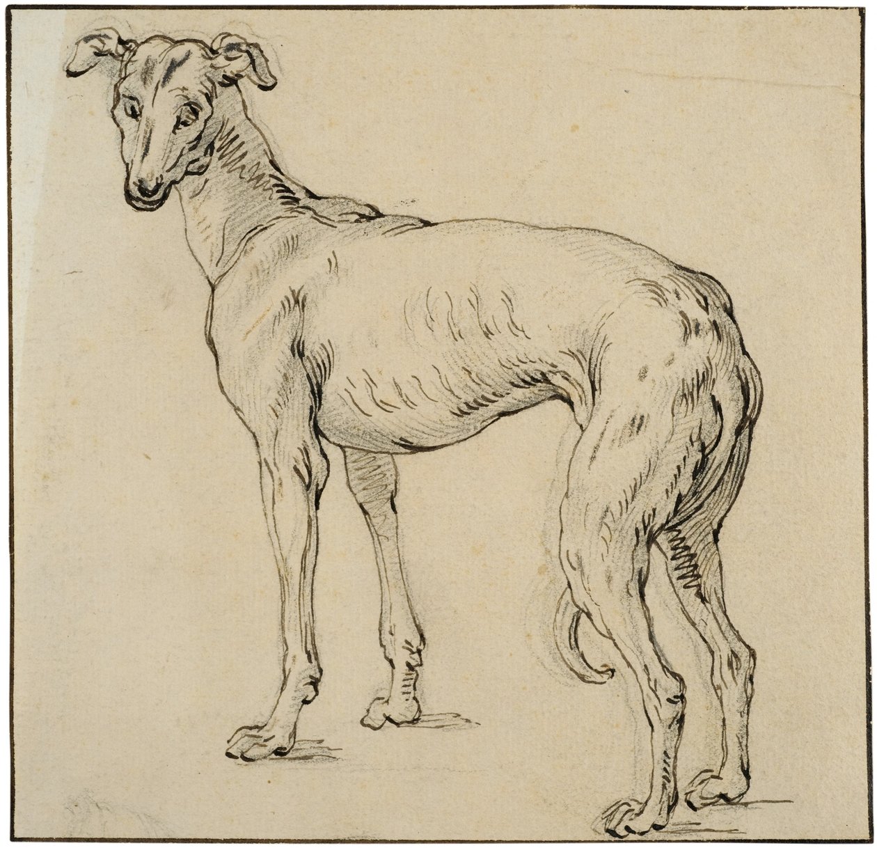 Galgo de Abraham Bloemaert