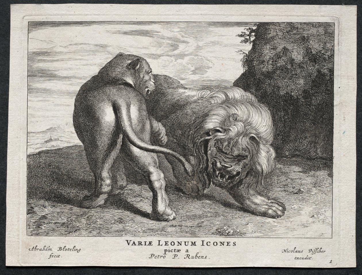 Vários Leões de Abraham Blooteling
