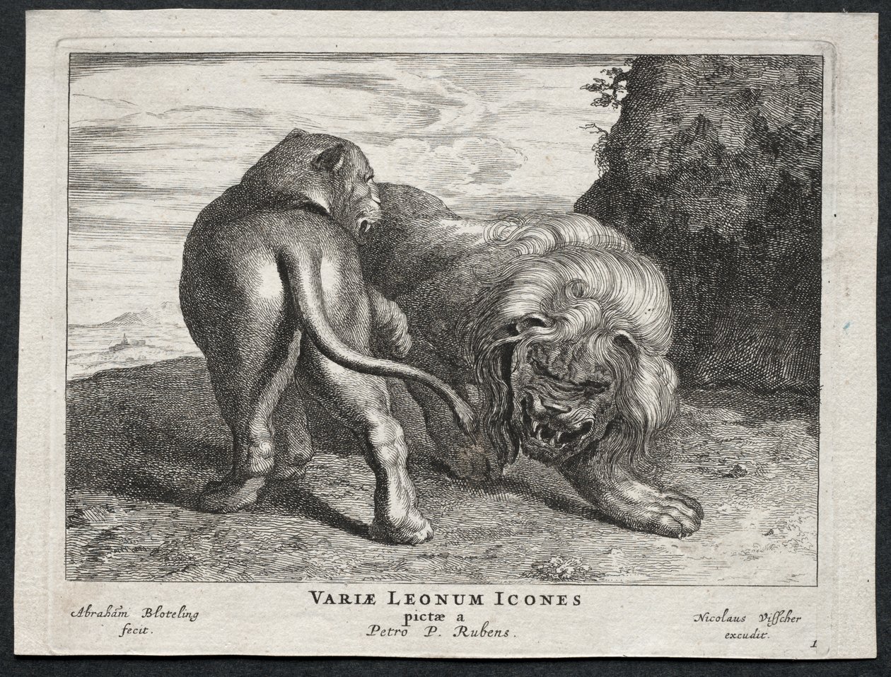 Vários Leões de Abraham Blooteling