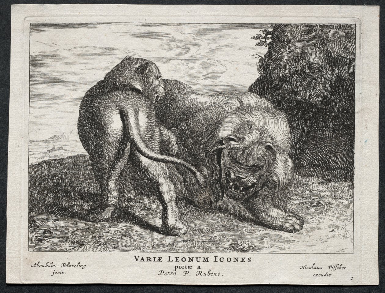 Vários Leões. de Abraham Blooteling