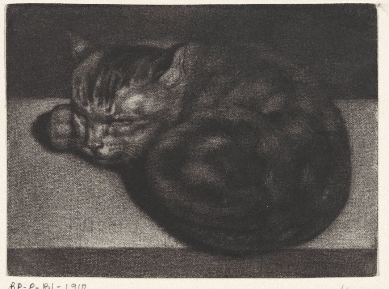 Gato adormecido de Abraham Bloteling