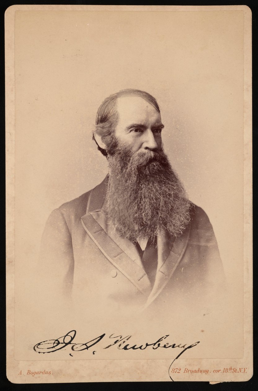 Retrato de John Strong Newberry 1822-1892, entre 1876 e 1887. de Abraham Bogardus