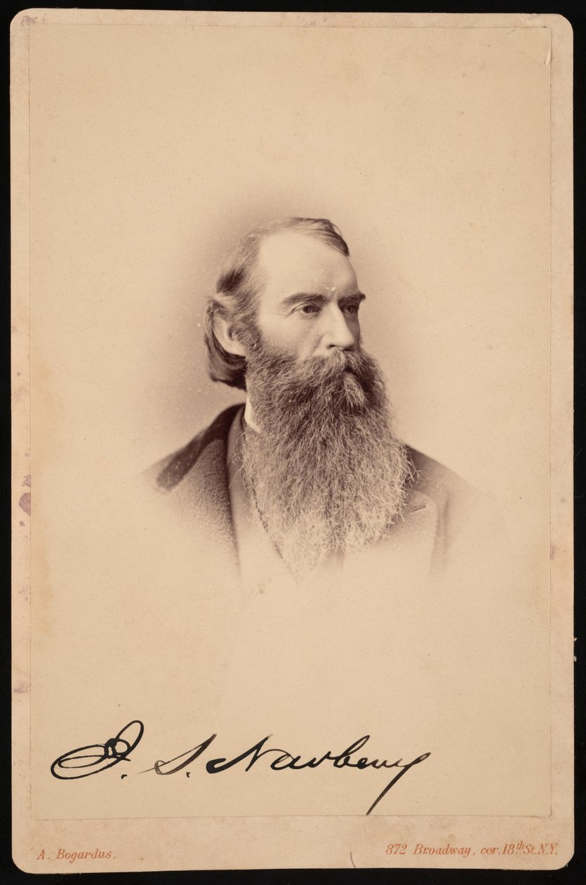 Retrato de John Strong Newberry 1822-1892, entre 1876 e 1887. de Abraham Bogardus
