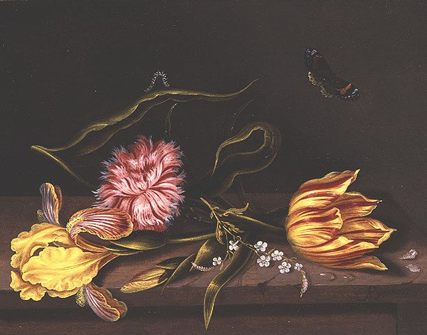 Ainda vida de flores sobre uma mesa, de Abraham Bosschaert