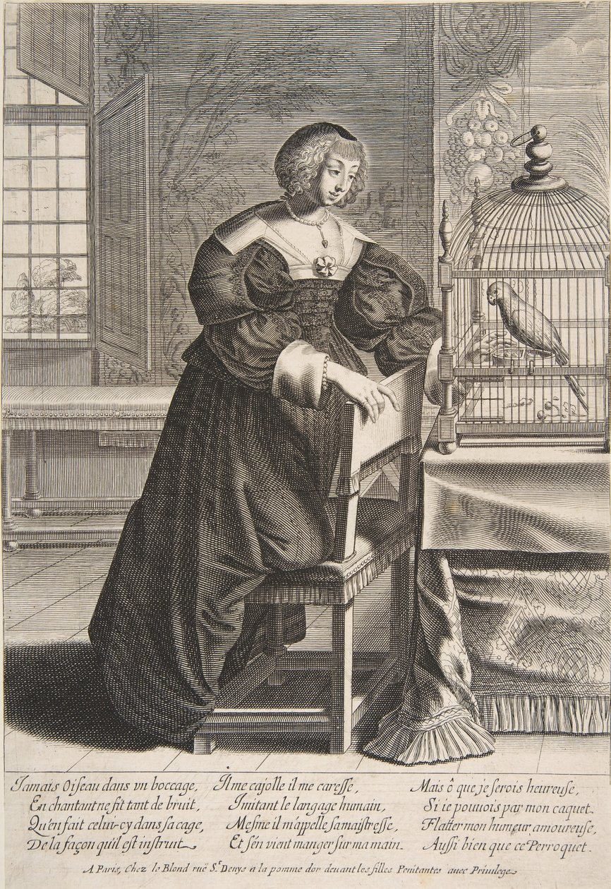O papagaio, 1620-76. de Abraham Bosse