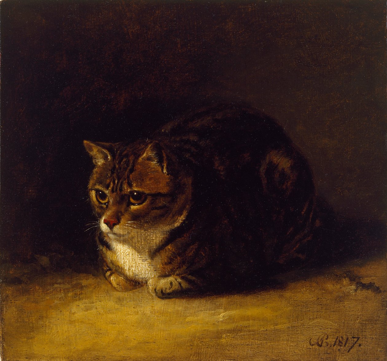 Estudo de um gato, 1817 de Abraham Cooper