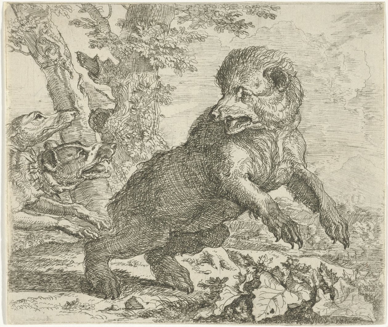 Urso atacado por cães Animais diferentes (título da série) de Abraham Danielsz. Hondius