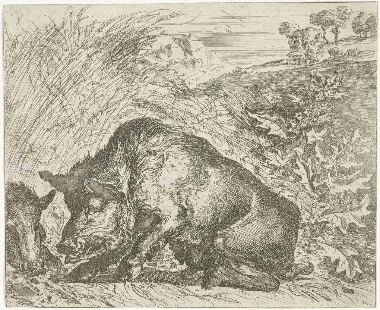 Javali selvagem
Vários animais (título da série) de Abraham Danielsz. Hondius