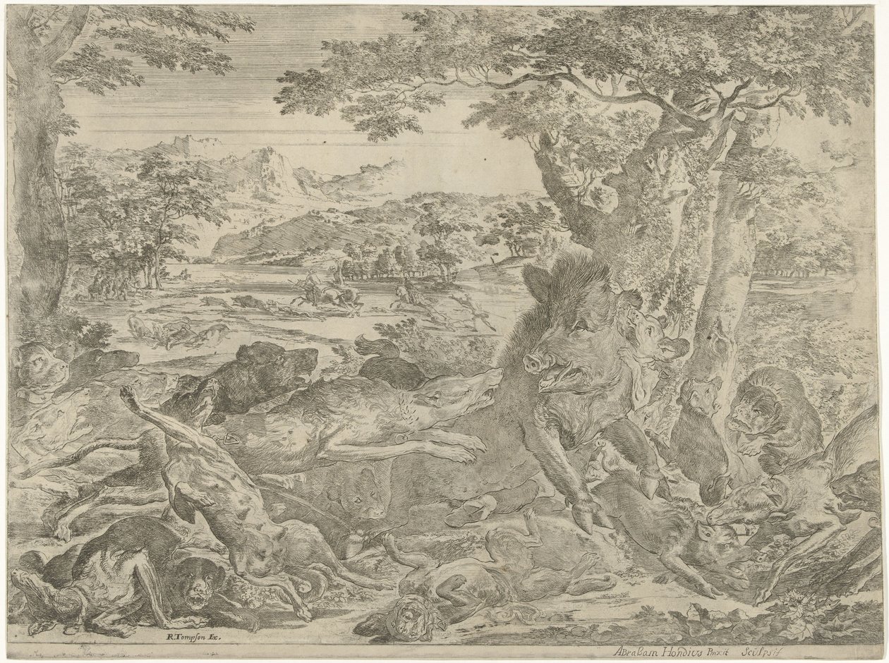 Javali selvagem atacado por cães de Abraham Danielsz. Hondius