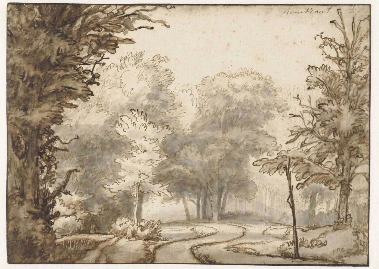 Estrada através da floresta de Abraham Furnerius