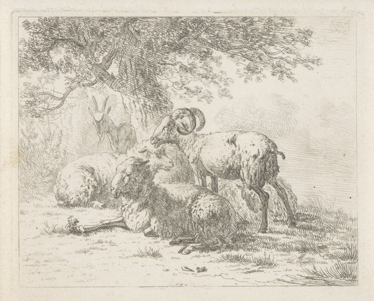 Ovelha e uma cabra de Abraham Hendrik Winter
