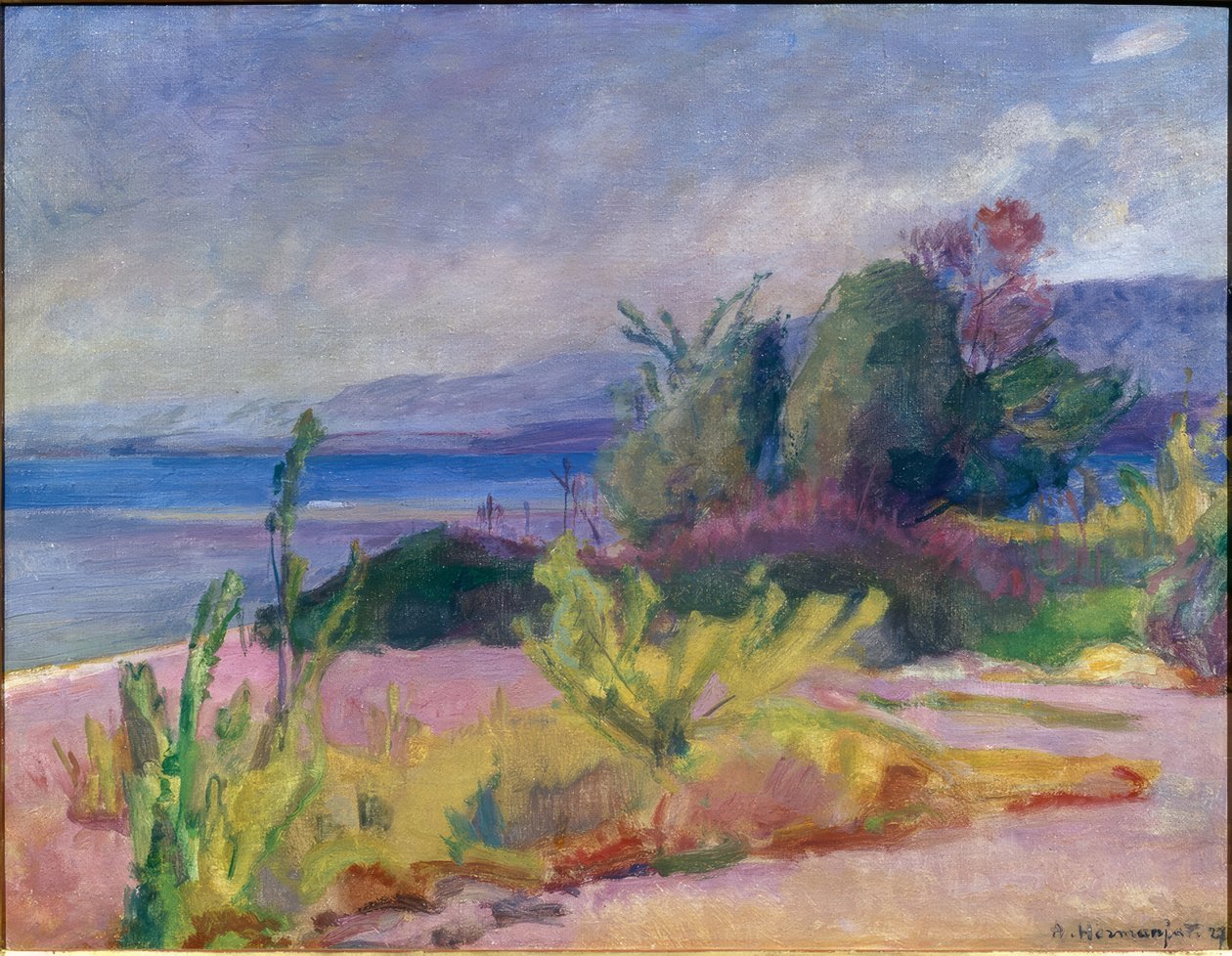 Greve cor-de-rosa de Abraham Hermanjat