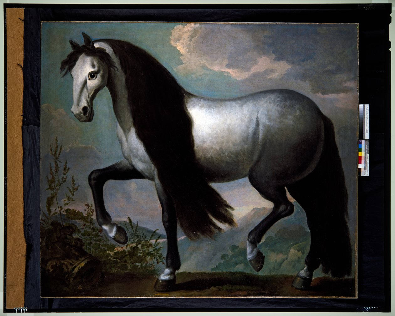 Cavalo numa paisagem de Abraham Jansz. van Diepenbeeck