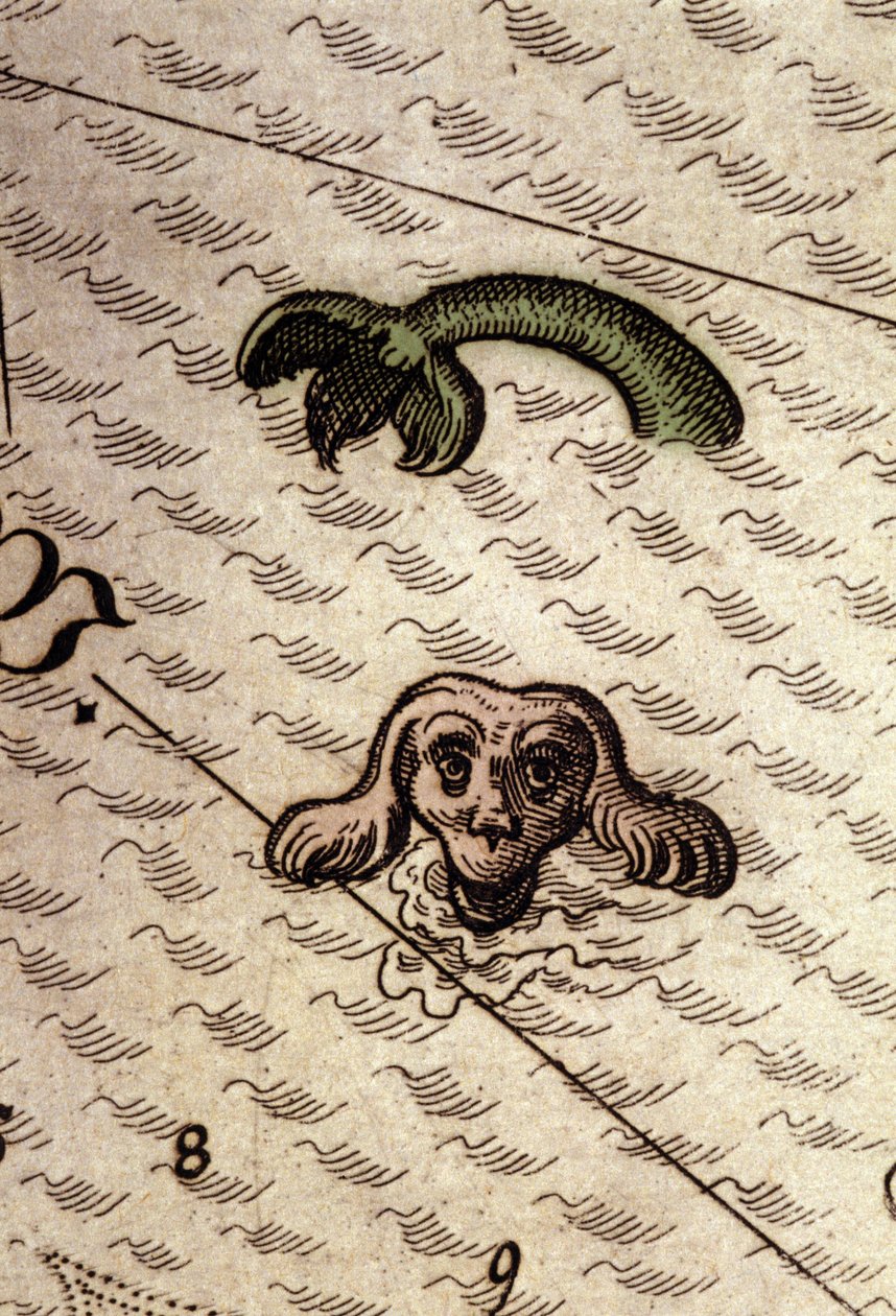 Um monstro marinho tem a cabeça de um cão e um corpo de peixe. Detalhe de um mapa em "Theatrum Orbis Terrarum" de Abraham Ortelius, Antuérpia, 1584. de Abraham Ortelius