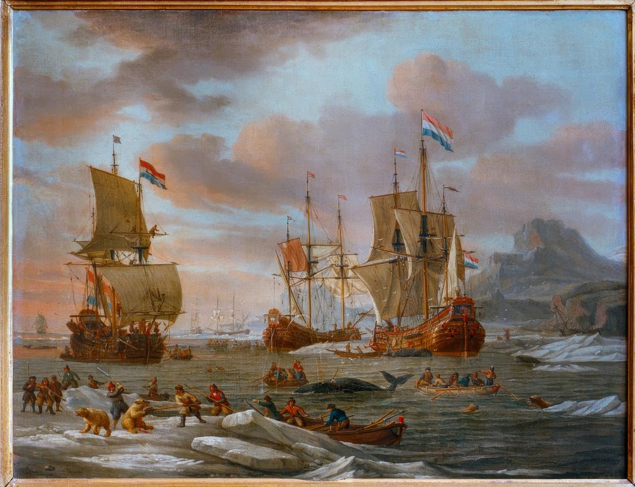Calouros holandeses baleias de Abraham Storck
