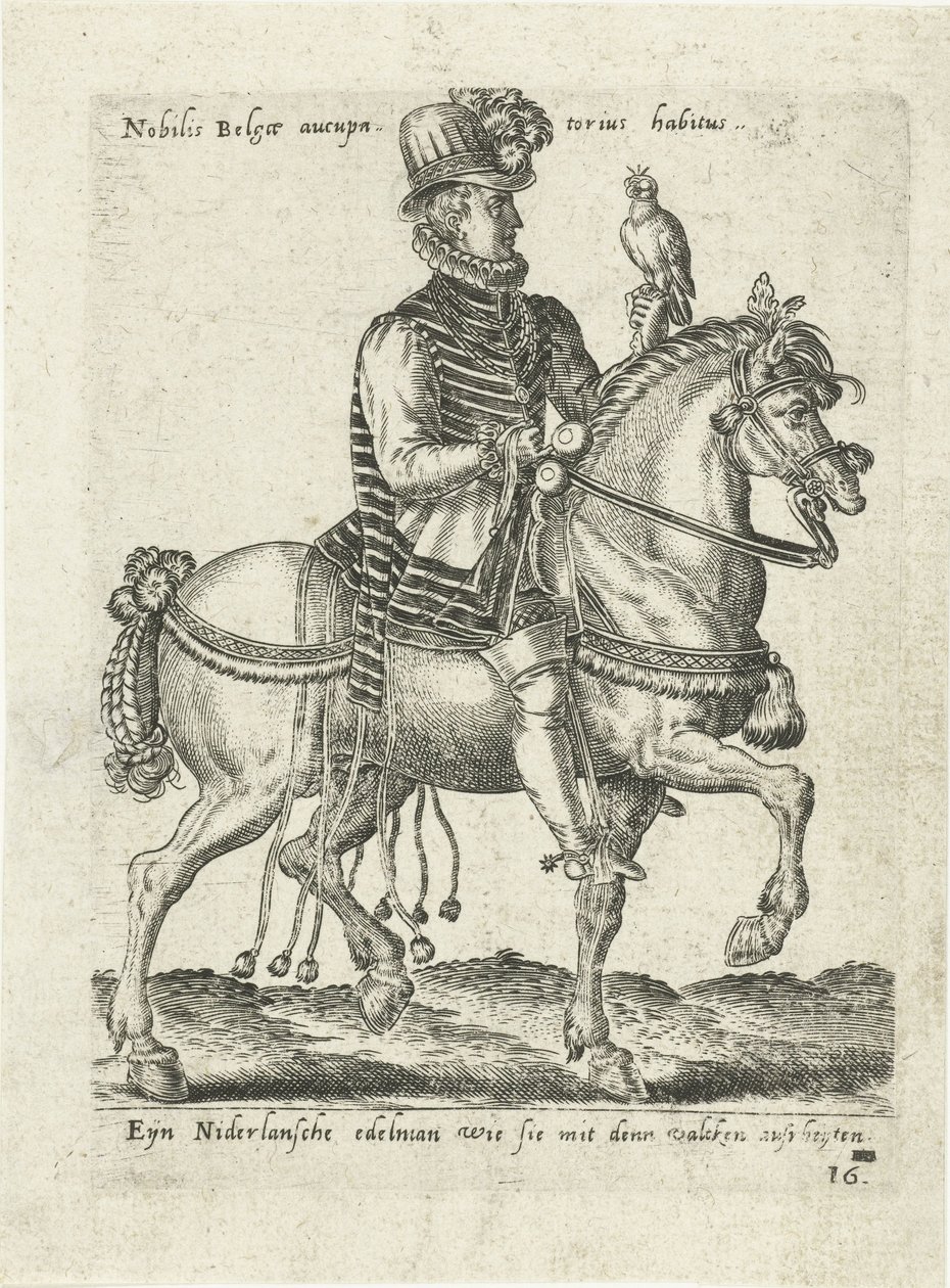 Nobre holandês a cavalo falcoaria de Abraham de Bruyn (attributed to)
