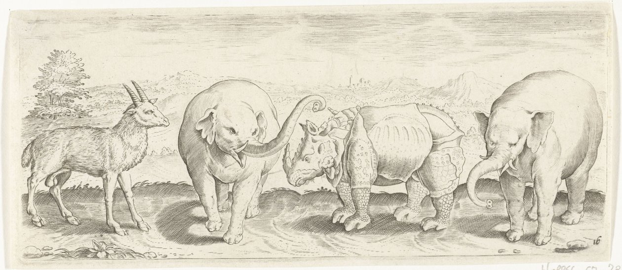 Gazela, elefante e rinoceronte Animais (título da série) de Abraham de Bruyn (possibly)