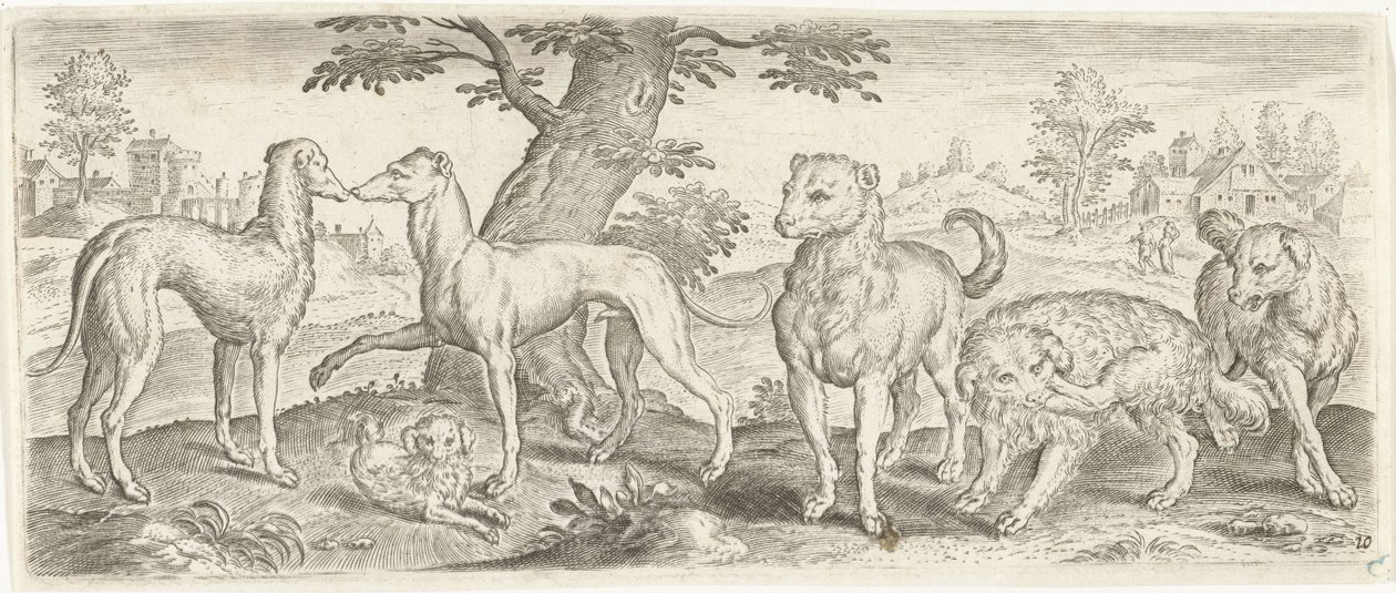cães Animais (título da série) de Abraham de Bruyn (possibly)