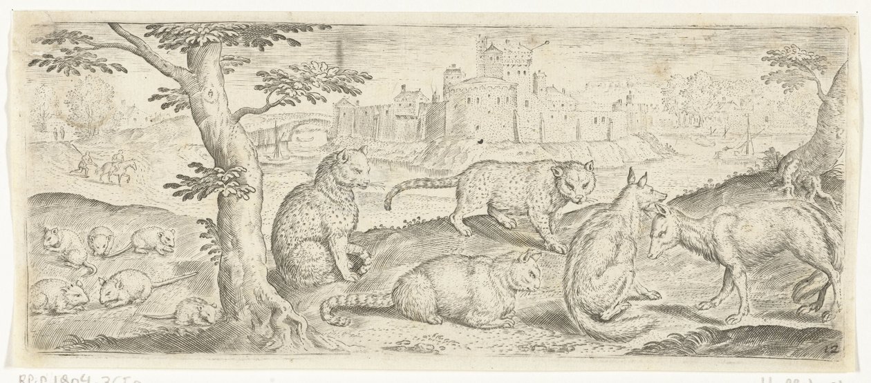 Ratos, gatos e raposas Animais (título da série) de Abraham de Bruyn (possibly)