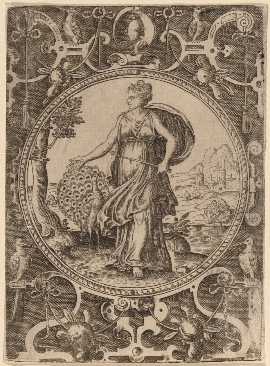 Juno de Abraham de Bruyn