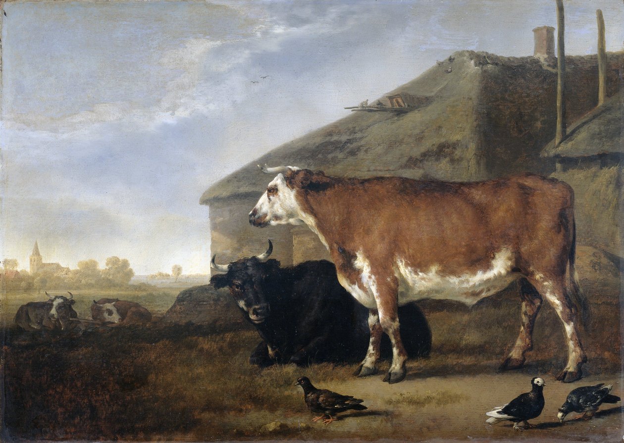  de Abraham van Calraet