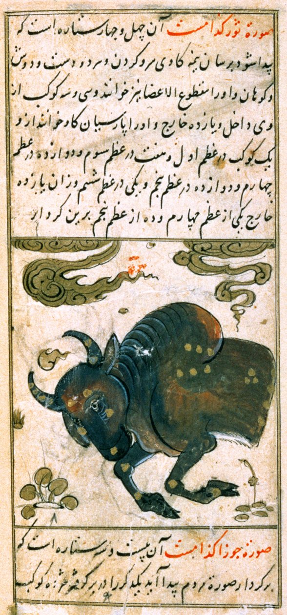 Constelações do Zodíaco: Touro, o Touro, de Talim dar marifat i taqvuim, 1498 (903 Hijra) de Abu Jafar al Tabari