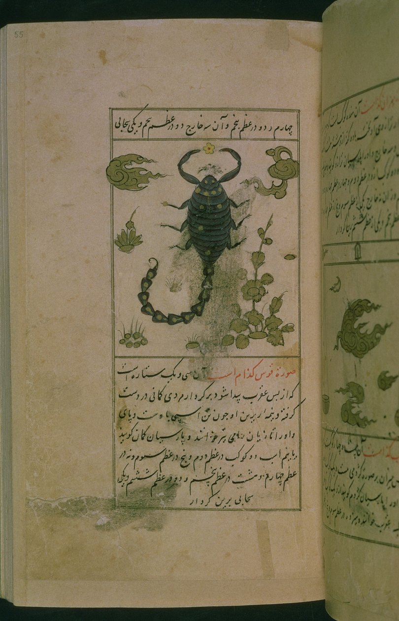 Constelações do zodíaco: Escorpião, o Escorpião, de Talim dar marifat i taqvuim, 1498 (903 Hijra) (tinta) de Abu Jafar al Tabari