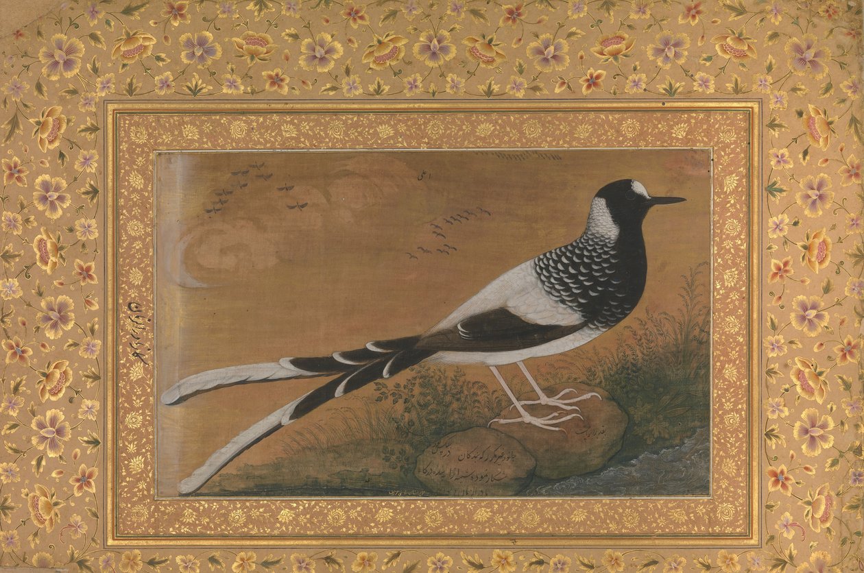 Garfo manchado, fólio do álbum Shah Jahan, reto: ca. 1610-15, verso ca. 1540. de Abu al Hasan
