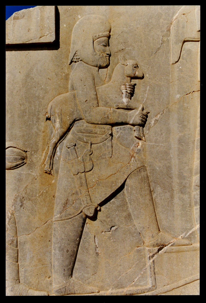 Um Medo carregando um cordeiro sacrificial pela escada oriental do pórtico sul do palácio de Dario, c.485 aC de Achaemenid