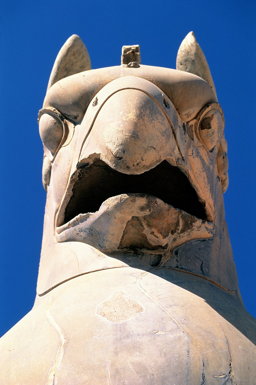 Cabeça de Águia no Sapahan Spoy (Estrada do Soldado) de Achaemenid