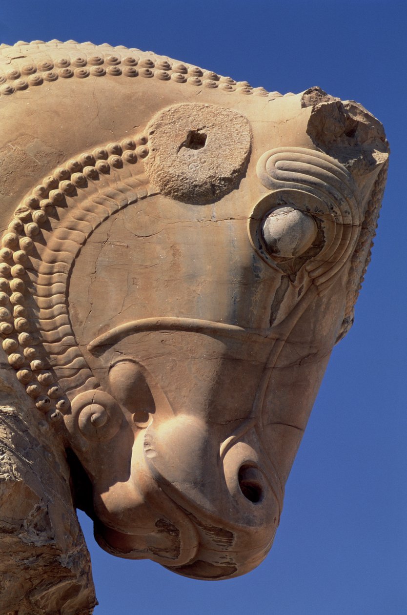Cabeça de touro no pórtico norte do Salão do Trono de Xerxes de Achaemenid