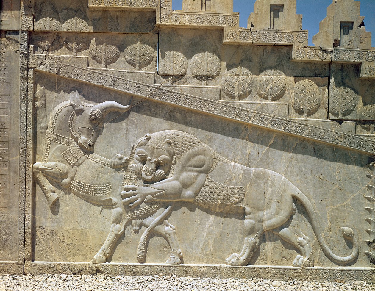 Leão lutando contra um touro, relevo na escadaria leste do Apadana, período achemaniano, c.515 de Achaemenid