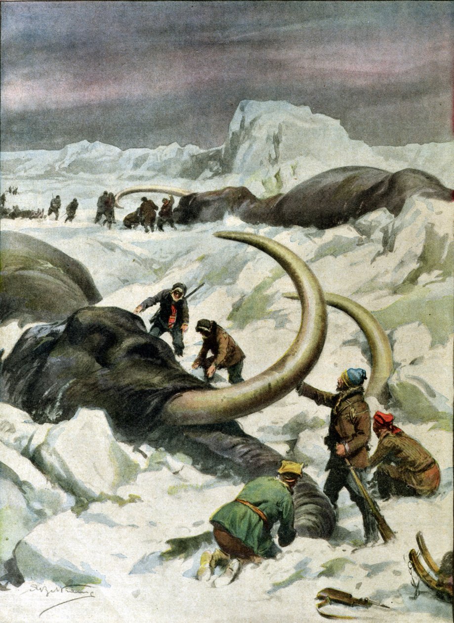 Descoberta de mamutes congelados na Sibéria, ilustração do "Corriere della Sera", 9 de dezembro de 1934 de Achille Beltrame