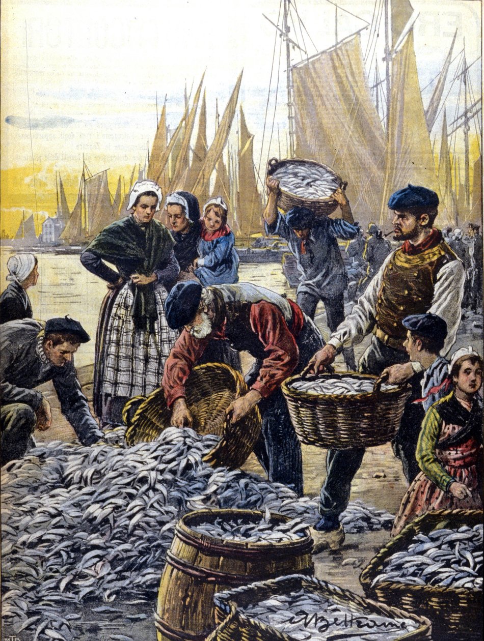 A pesca da sardinha na Bretanha, em 1903, ilustração de Achille Beltrame de Achille Beltrame