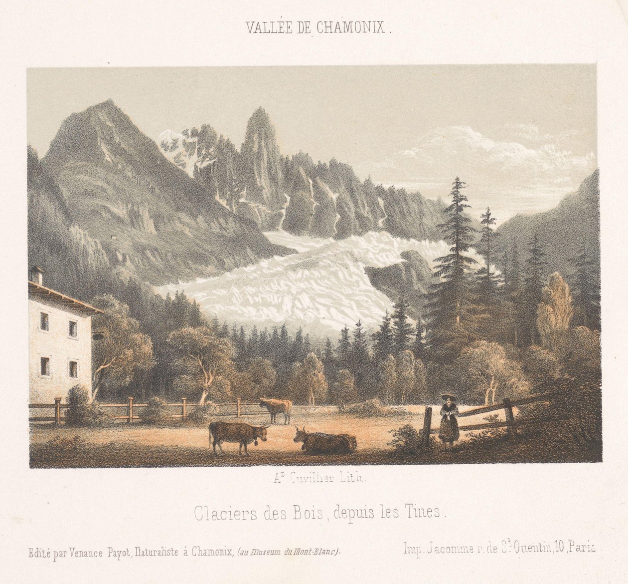 Zicht op Chamonix en de Mont Blanc vanuit het noorden
Chamonix e o Mont Blanc. Côté du Nord (título sobre o objecto)
Herinnering aan Chamonix-Mont-Blanc (título da série)
Museum du Mont-Blanc (título da série) de Ad. Cuvillier