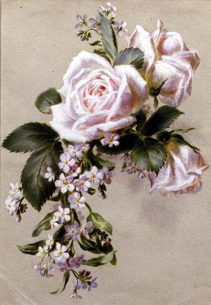 Rosas e Miosótis (aguarela sobre papel) de Ada Hanbury