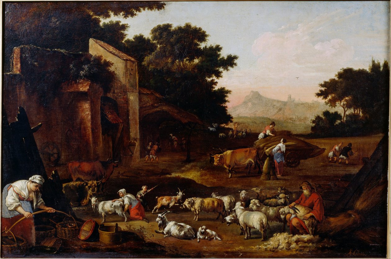 Tosquia de ovelhas de Adam Colonia