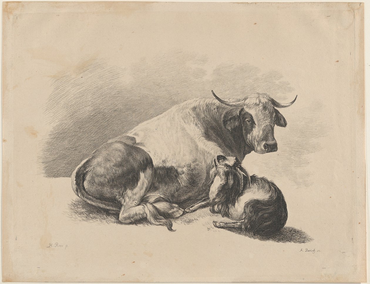 Vaca e cabra deitadas, 1800-01. de Adam von Bartsch