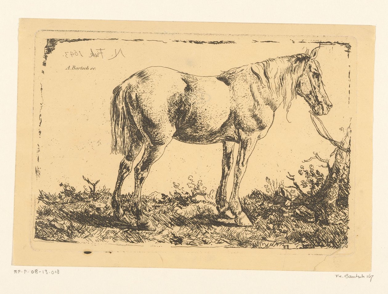 Cavalo sobre uma árvore de Adam von Bartsch