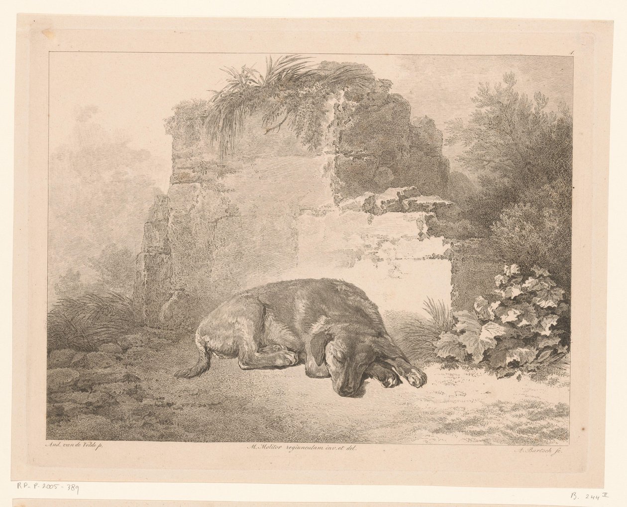 Cão adormecido em frente a uma parede
Animais após pinturas de mestres holandeses (título da série)
Différens animaux gravés d