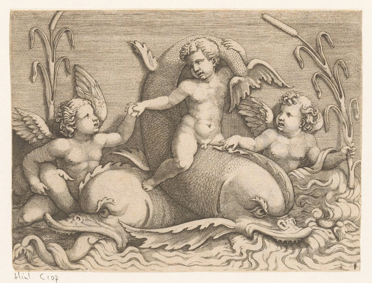 Três putti com golfinhos de Adamo Scultori