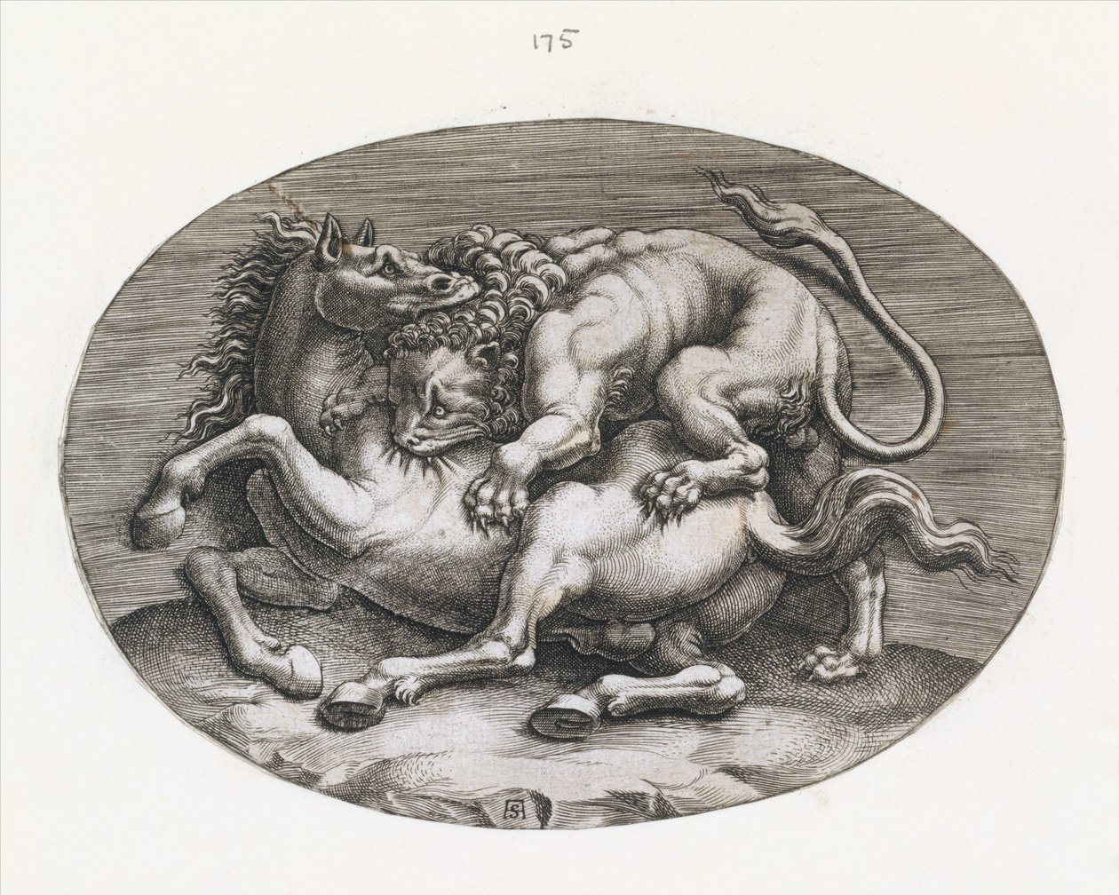 Espelho da magnificência romana: Leão atacando um cavalo, c1540-80. de Adamo Scultori